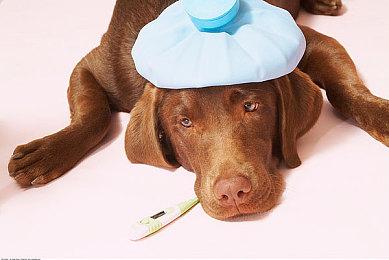 KK官方对战平台 暑期全民体育活动预约开启！